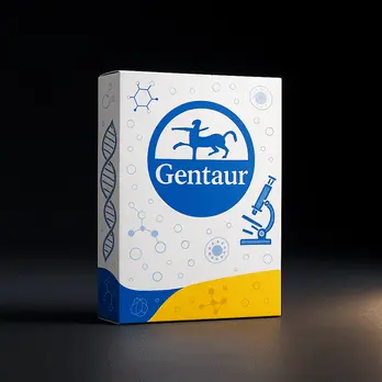 box sterilized transparent filter