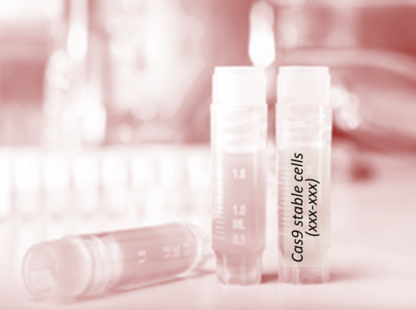 Cas9 Stable Cell Line (B16-F10)