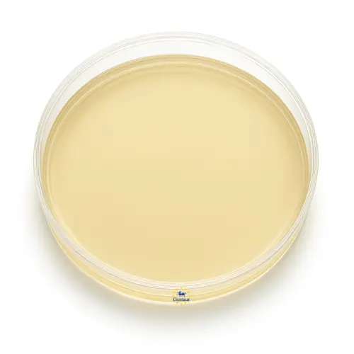 INTRAY MUELLER-HINTON CHOCOLATE AGAR