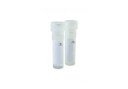 [GEN-ACC-PR2001-L-100]  qmax probe low rox qpcr mix 100 reactions