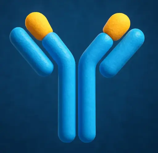 [ML-AS-1662] Rabbit Anti-Human IgG H&L Antibody (Biotin)